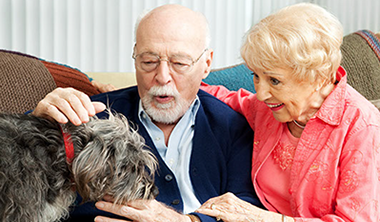 Image of an older couple with their dog.