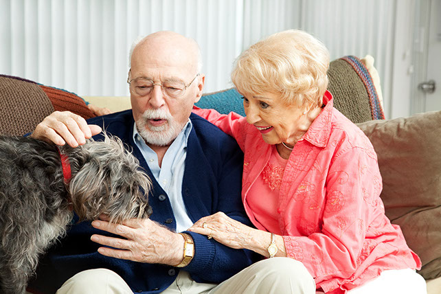 Image of an older couple with their dog.