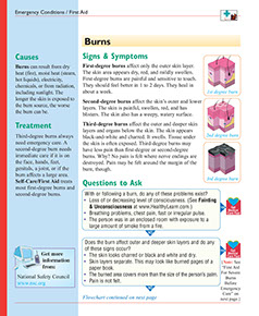 Healthier at Home book by the American Institute for Preventive Medicine. www.HealthyLife.com. All rights reserved.