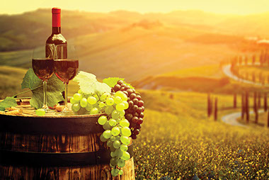 Image of a wine bottle with 2 glasses of wine and grapes.