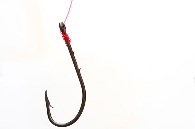 Image of a fish hook.