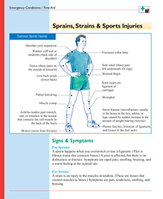Healthier at Home book by the American Institute for Preventive Medicine. www.HealthyLife.com. All rights reserved.