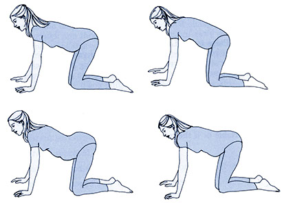 Illustration of pregnant women doing the pelvic rock on hands and knees.