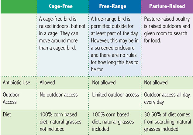 Chart showing Cage-Free, Free-Range, and Pasture Raised definitions.