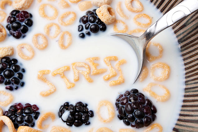 Image of cereal bowl with berries with the words stress spelled out.