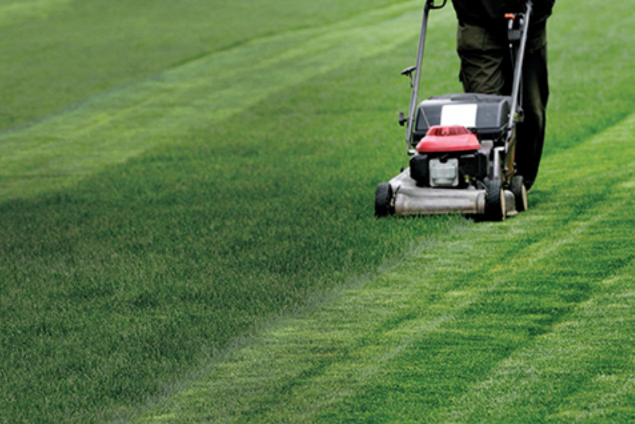 Image of person mowing the lawn.