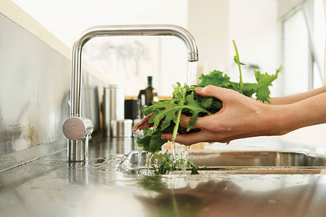 Close up image of hands washing lettuce.