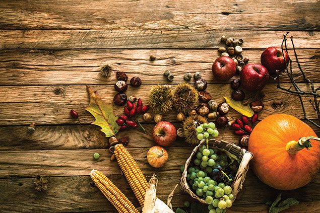 Image of a variety of fall vegetables.