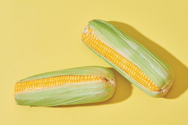 Two corn on the cobs.