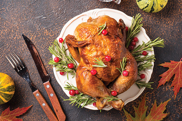 Cooked turkey on plate.