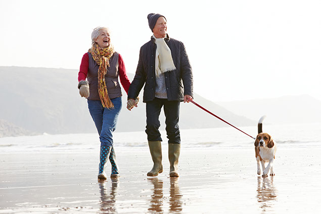 Image of couple and pet dog walking along beach.