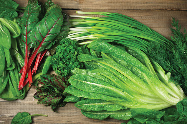 Variety of leaft greens.