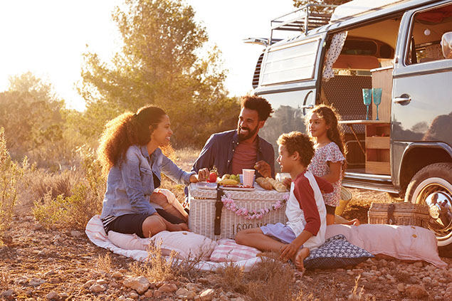 Family have a picnic.