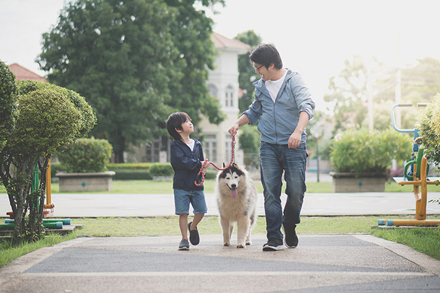 Father and son walking the dog.