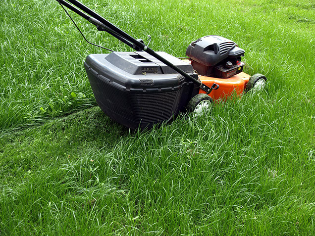 Image of lawn mower cutting the grass.