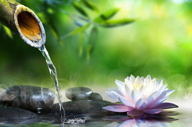 Zen garden with massage stones and waterlily.