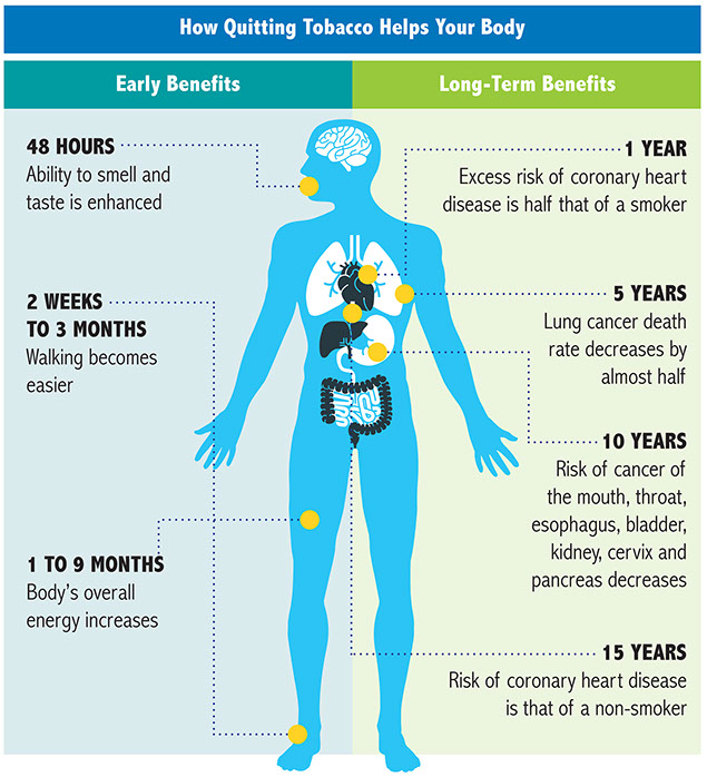 Chart showing how quitting tobacco helps your body.