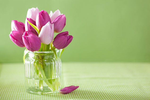 Image of a vase of flowers.